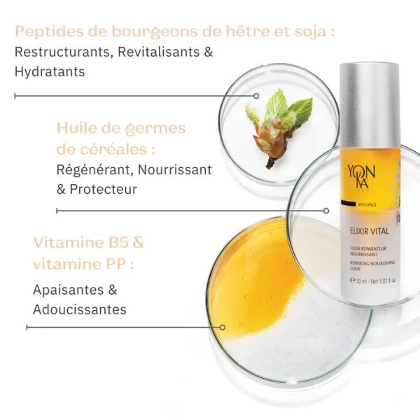 ELIXIR VITAL – Image 3