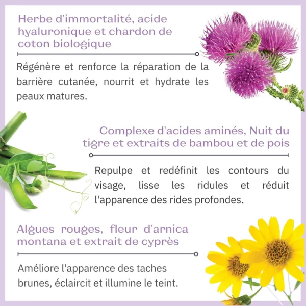 EXCELLENCE CODE CRÈME – Image 6