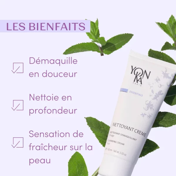 NETTOYANT CRÈME – Image 3
