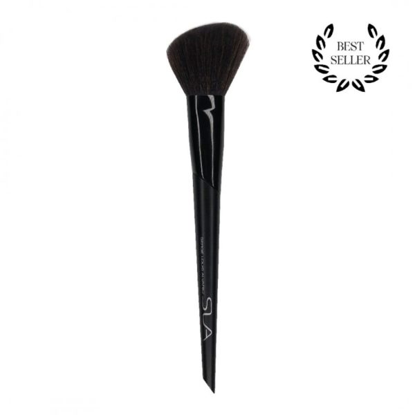 PINCEAU TEINT BLUSH